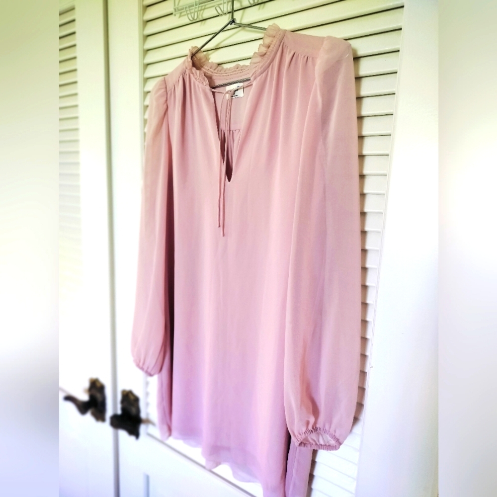 Wilfred Aritzia Women's Pale Pink Fully Lined Flowy Shift Dress Size XS